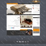 طراحی وب سایت میترانیک