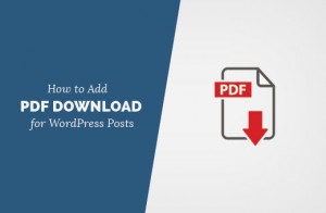 اضافه کردن فایل PDF دانلود برای پست ها درطراحی قالب وردپرس