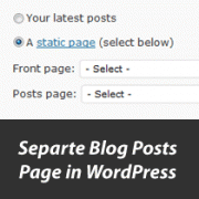 ایجاد یک صفحه مجزا برای پست های وبلاگ در وردرپس