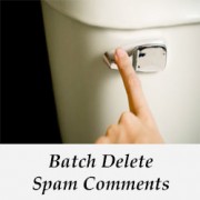  حذف دسته spam در نظرات وردپرس